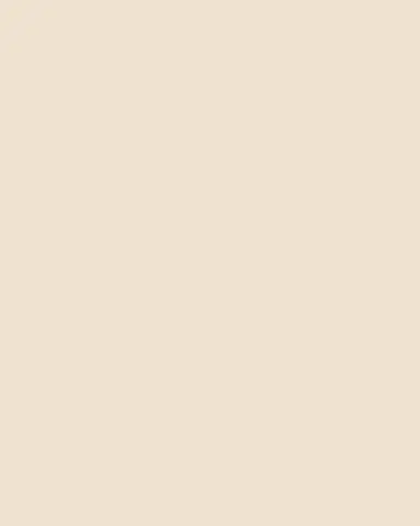 Sofia Cashmere Brooklyn Loft Chunky Cashmere Throw, 56" x 72" | Thumbnail 3 Sofia Cashmere Brooklyn Loft Chunky Cashmere Throw, 56" x 72" | Thumbnail 3
