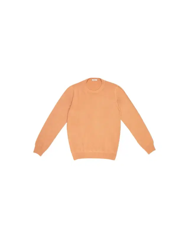 Men's Virgin Wool Solid Crewneck Sweater