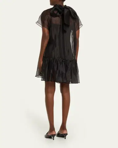 Simkhai Beaux Organza Mini Dress | Thumbnail 3