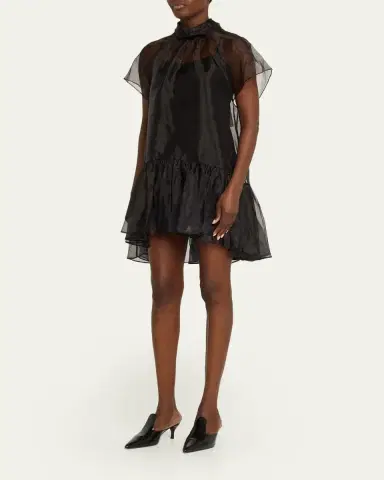Simkhai Beaux Organza Mini Dress | Thumbnail 4