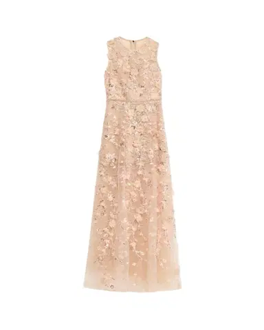 Bronx and Banco Arielle Floral Embroidered Sleeveless Gown | Thumbnail 1