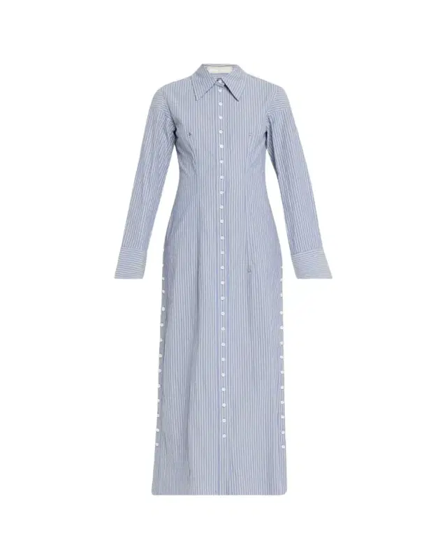 Long Button-Front Pinstripe Shirtdress