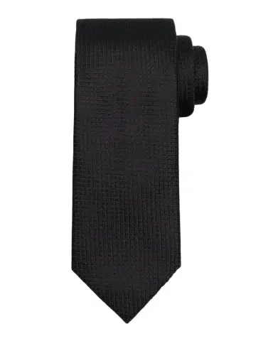 ZEGNA Men's Solid Textured Silk Tie | Thumbnail 1