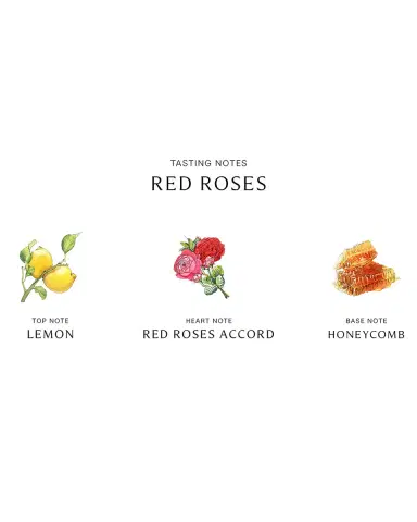 Jo Malone London Red Roses Cologne | Thumbnail 3 Jo Malone London Red Roses Cologne | Thumbnail 3