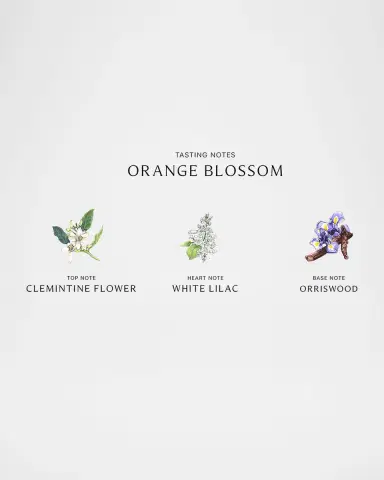Jo Malone London Orange Blossom Cologne | Thumbnail 2