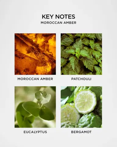 NEST New York Moroccan Amber Liquid, 10 oz. | Thumbnail 5 NEST New York Moroccan Amber Liquid, 10 oz. | Thumbnail 5