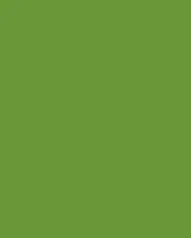 Herend Green Chinese Bouquet Saucer | Thumbnail 3