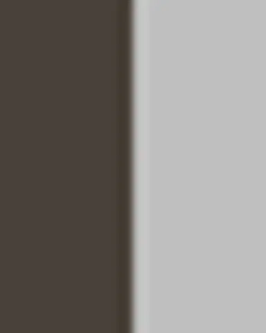 Michael Aram Fallen Leaves Coffee Table | Thumbnail 3