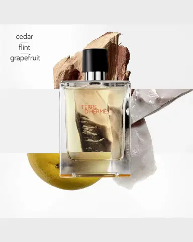 HERMÈS Terre d 'Hermes Eau de Toilette | Thumbnail 2
