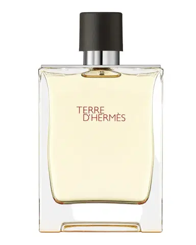HERMÈS Terre d 'Hermes Eau de Toilette | Thumbnail 1