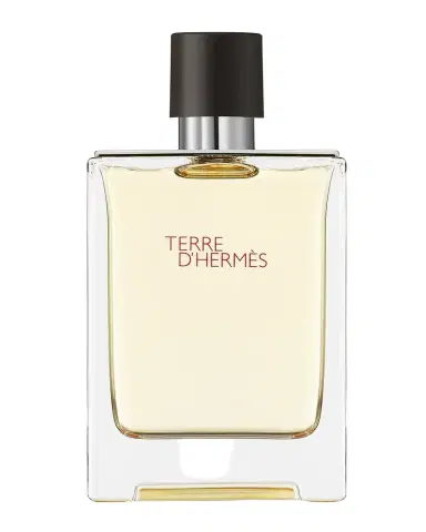 HERMÈS Terre d 'Hermes Eau de Toilette | Thumbnail 1