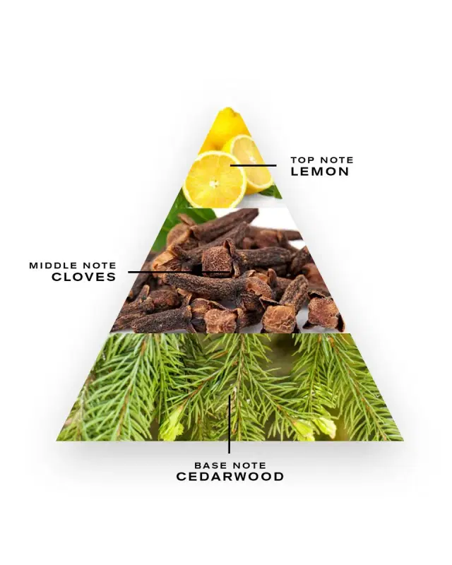 Spice and Wood, 8.4 oz.