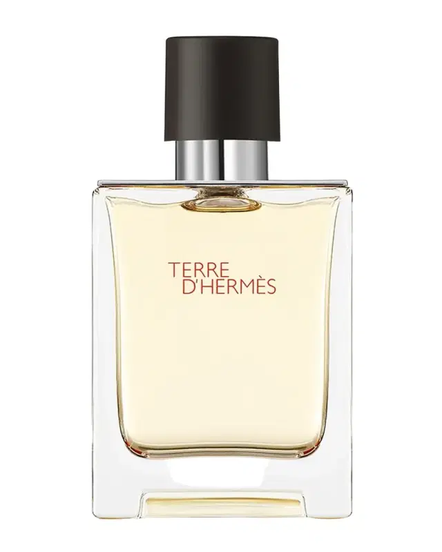 Hermes Terre d ' Eau de Toilette