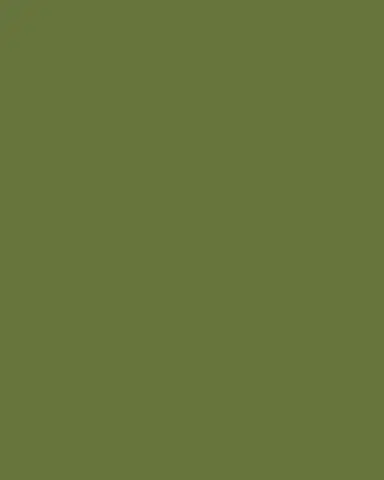 Herend Rothschild Bird Green Motif 01 Salad Plate | Thumbnail 3