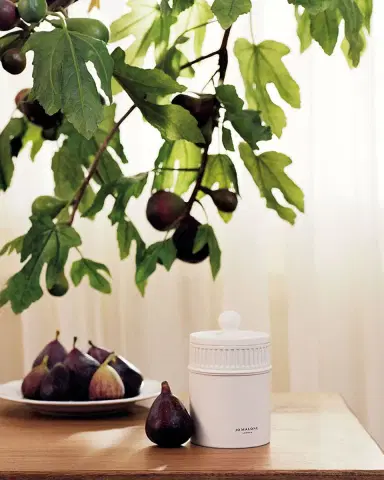 Jo Malone London 10.6 oz. Fresh Fig & Cassis Candle | Thumbnail 3 Jo Malone London 10.6 oz. Fresh Fig & Cassis Candle | Thumbnail 3