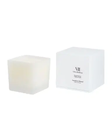 Amanda de Montal 7.76 oz. Citrus Basilicum Candle | Thumbnail 1 Amanda de Montal 7.76 oz. Citrus Basilicum Candle | Thumbnail 1