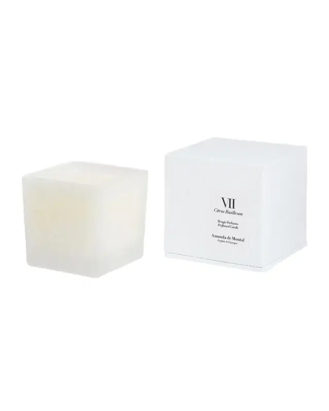Amanda de Montal 7.76 oz. Citrus Basilicum Candle