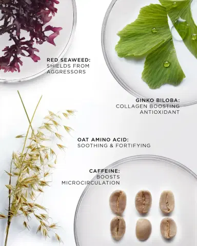Noble Panacea The Brilliant Vibrant Eye Infusion, 30 Doses | Thumbnail 4