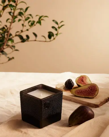 Amanda de Montal 7.76 oz. Fructus Vasconia Candle | Thumbnail 3 Amanda de Montal 7.76 oz. Fructus Vasconia Candle | Thumbnail 3