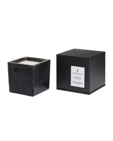 Amanda de Montal 7.76 oz. Fructus Vasconia Candle | Thumbnail 1 Amanda de Montal 7.76 oz. Fructus Vasconia Candle | Thumbnail 1