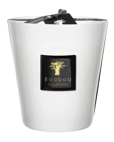 Baobab Collection Max 16 Les Prestigieuses Pierre de Lune Scented Candle | Thumbnail 1