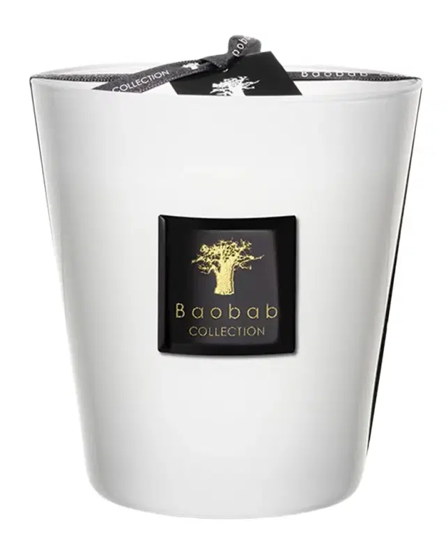 Baobab Collection Max 16 Les Prestigieuses Pierre de Lune Scented Candle