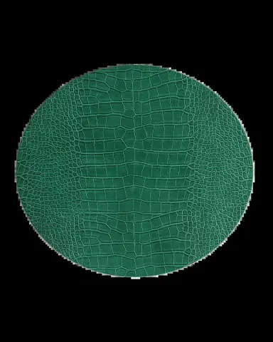 Kim Seybert Croco Placemat | Thumbnail 2