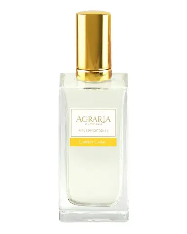 Agraria 3.4 oz. Golden Cassis AirEssence Room Spray | Thumbnail 1 Agraria 3.4 oz. Golden Cassis AirEssence Room Spray | Thumbnail 1