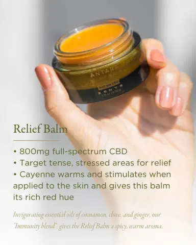 ZENTS 1.75 oz. ANTARA Relief Balm with 800 mg CBD | Thumbnail 4