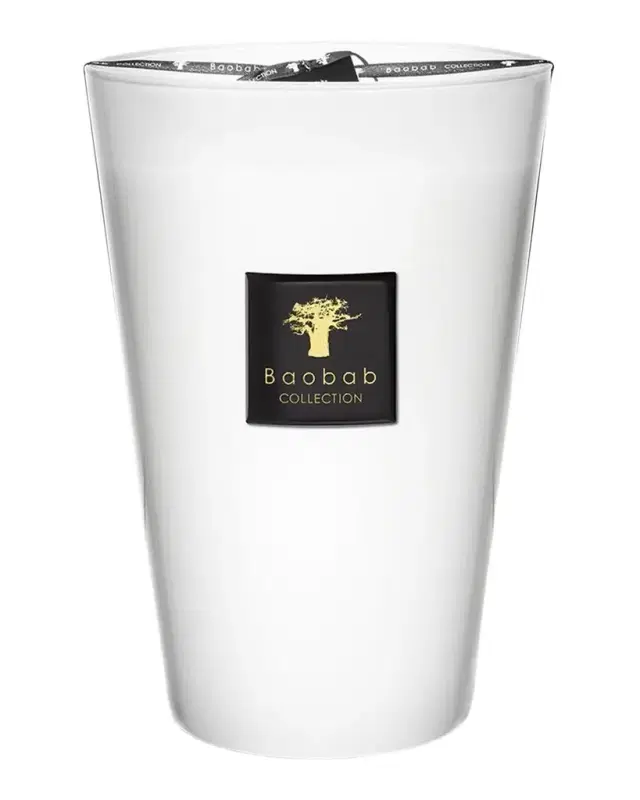 Baobab Collection Max 35 Les Prestigieuses Pierre de Lune Scented Candle