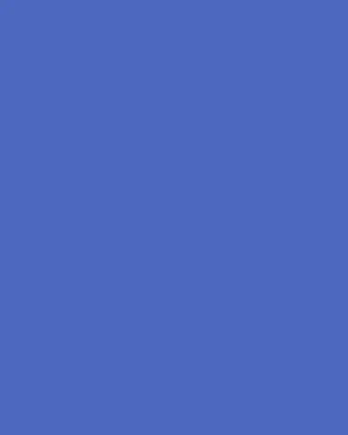 Daum Coral Sea Medium Sea Turtle, Blue/Pink | Thumbnail 4 Daum Coral Sea Medium Sea Turtle, Blue/Pink | Thumbnail 4