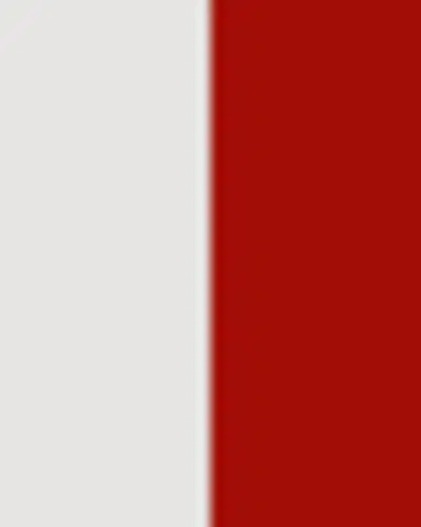 Bernardaud Noel Red Gift Salad Plate | Thumbnail 3