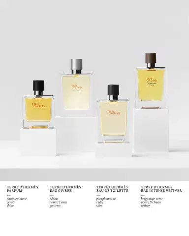 HERMÈS Terre d & rsquo; Eau Givree Eau de Parfum | Thumbnail 5