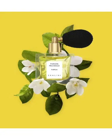 Shalini Parfum Paradis Provence Cubique Glass Bottle with Black Bulb Atomizer, 1.7 oz./ 50 mL | Thumbnail 4 Shalini Parfum Paradis Provence Cubique Glass Bottle with Black Bulb Atomizer, 1.7 oz./ 50 mL | Thumbnail 4
