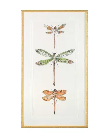 John-Richard Collection "Joyful Dragonflies II" Giclee Wall Art by Joy Colangelo | Thumbnail 1 John-Richard Collection "Joyful Dragonflies II" Giclee Wall Art by Joy Colangelo | Thumbnail 1