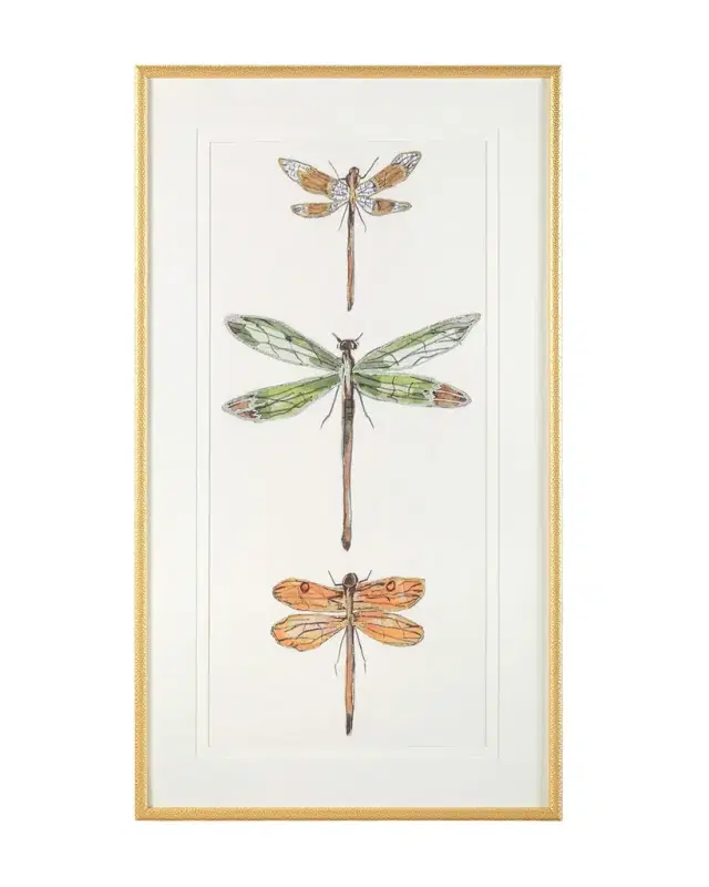 John-Richard Collection "Joyful Dragonflies II" Giclee Wall Art by Joy Colangelo