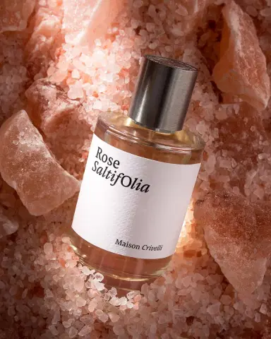 Maison Crivelli Rose Saltifolia Eau de Parfum, 3.4 oz. | Thumbnail 2 Maison Crivelli Rose Saltifolia Eau de Parfum, 3.4 oz. | Thumbnail 2