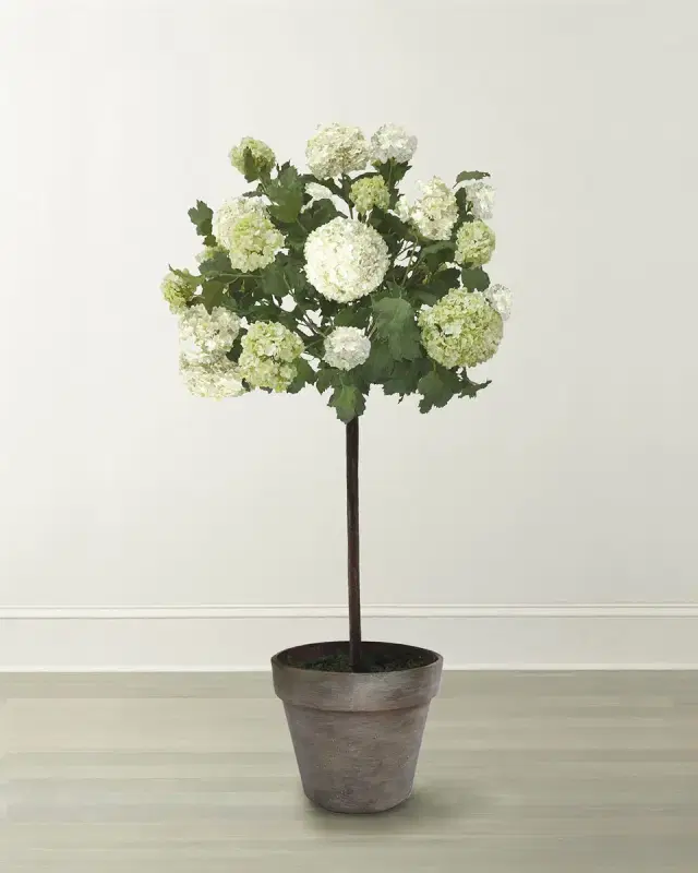 Winward Home Snowball Flower Tree in Pot