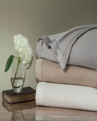 Home Treasures Serena Cashmere Blanket | Thumbnail 3