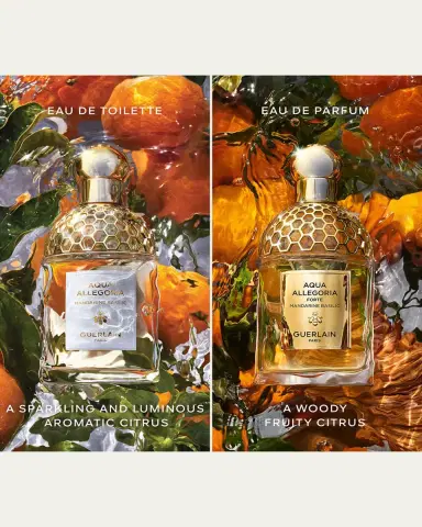 Guerlain Aqua Allegoria Mandarine Basilic Forte Eau de Parfum, 4.2 oz. | Thumbnail 4 Guerlain Aqua Allegoria Mandarine Basilic Forte Eau de Parfum, 4.2 oz. | Thumbnail 4