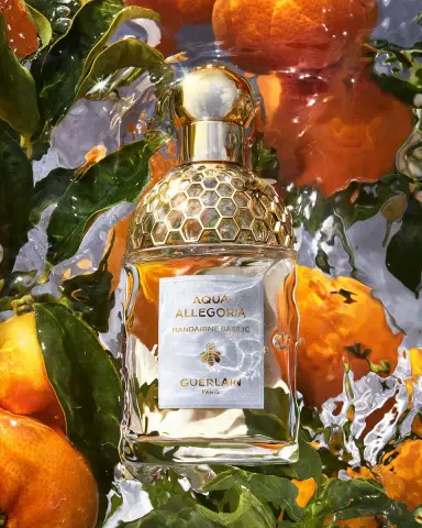 Guerlain Aqua Allegoria Mandarine Basilic Eau de Toilette Refill, 6.7 oz. | Thumbnail 2 Guerlain Aqua Allegoria Mandarine Basilic Eau de Toilette Refill, 6.7 oz. | Thumbnail 2