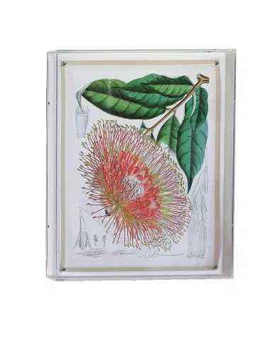 Port 68 Tropicals IV Giclee | Thumbnail 2 Port 68 Tropicals IV Giclee | Thumbnail 2