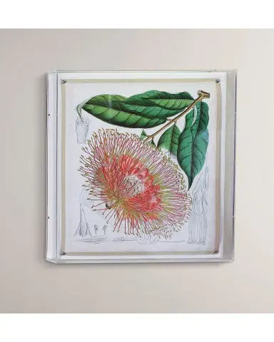Port 68 Tropicals IV Giclee | Thumbnail 3 Port 68 Tropicals IV Giclee | Thumbnail 3