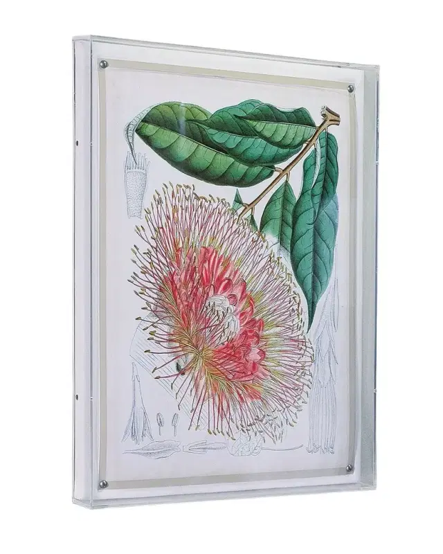 Port 68 Tropicals IV Giclee
