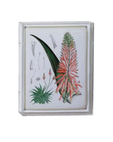 Port 68 Tropicals I Giclee | Thumbnail 2 Port 68 Tropicals I Giclee | Thumbnail 2