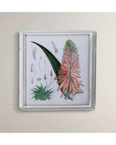 Port 68 Tropicals I Giclee | Thumbnail 3 Port 68 Tropicals I Giclee | Thumbnail 3