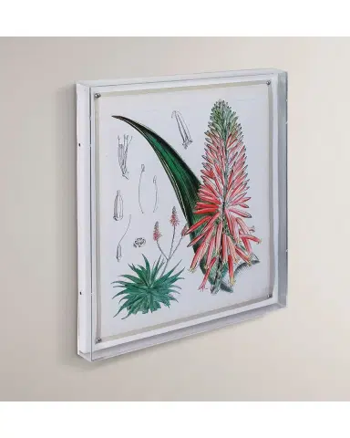Port 68 Tropicals I Giclee | Thumbnail 4 Port 68 Tropicals I Giclee | Thumbnail 4