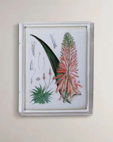 Port 68 Tropicals I Giclee | Thumbnail 5 Port 68 Tropicals I Giclee | Thumbnail 5