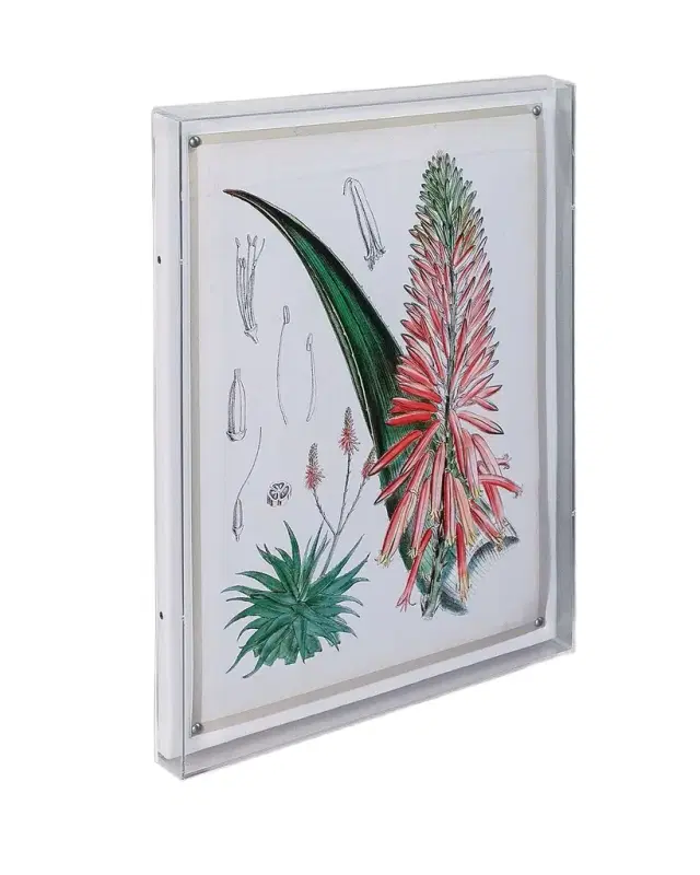 Port 68 Tropicals I Giclee