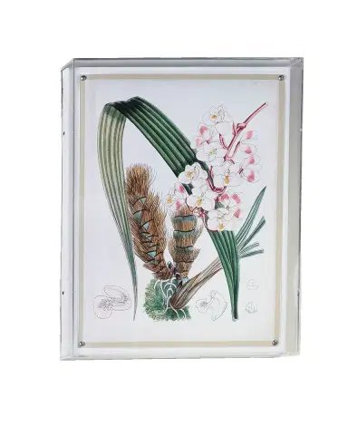 Port 68 Tropicals VIII Giclee | Thumbnail 2 Port 68 Tropicals VIII Giclee | Thumbnail 2
